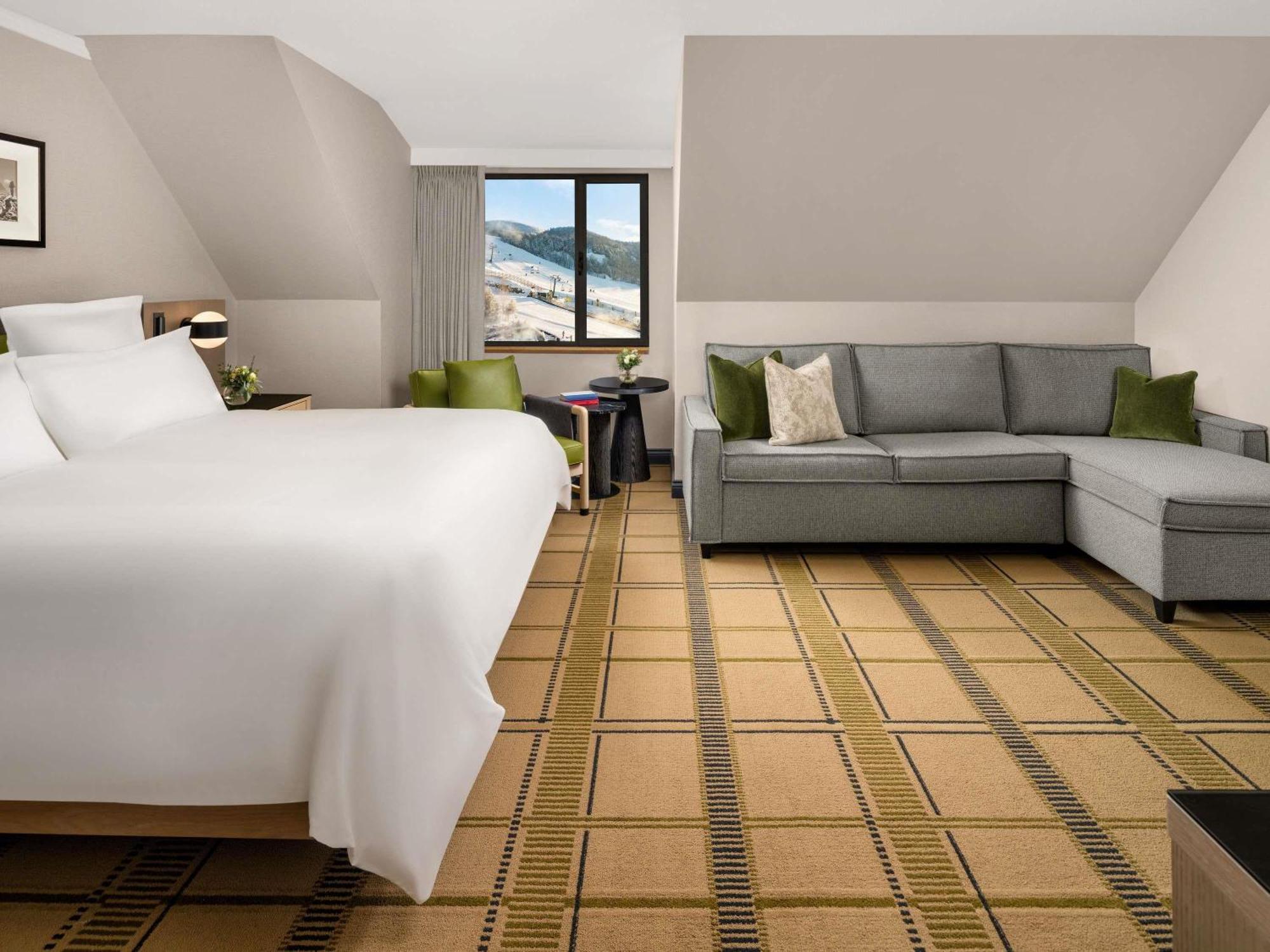 Deluxe King Room Seating Area Sofa Bed,1769520950:JPEG